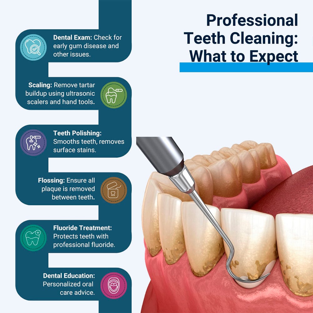 Professional Teeth Cleaning